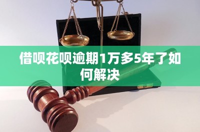借呗花呗逾期1万多5年未还的法律后果及解决方案